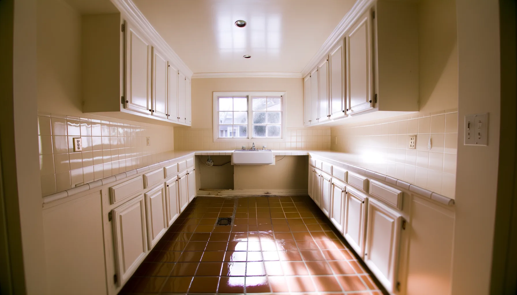 Mold Remediation - Project 3